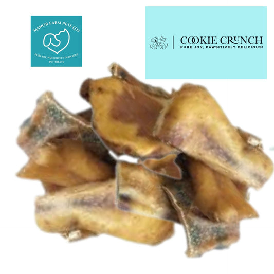 Get Ready to Spoil Your Pup!