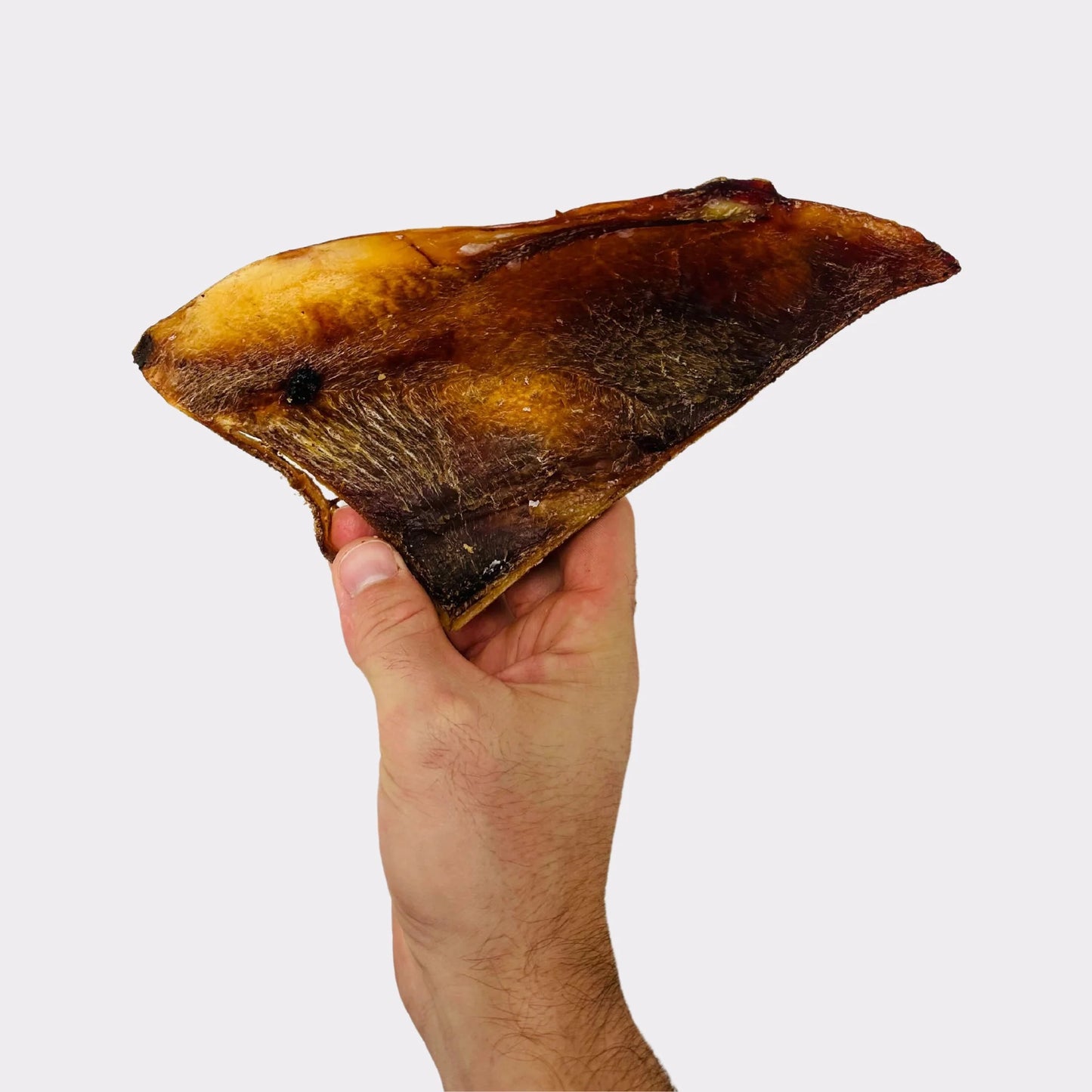 Mini Moon Bones dog treats in small sizes