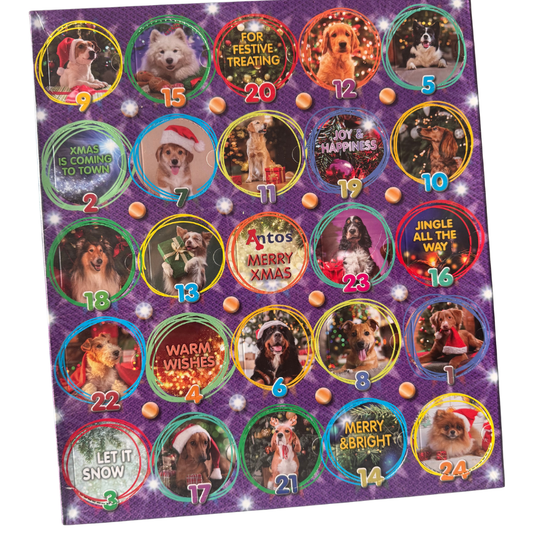 CountDown to Christmas - Antos Advent Calendar for Dogs (Rawhide Free)
