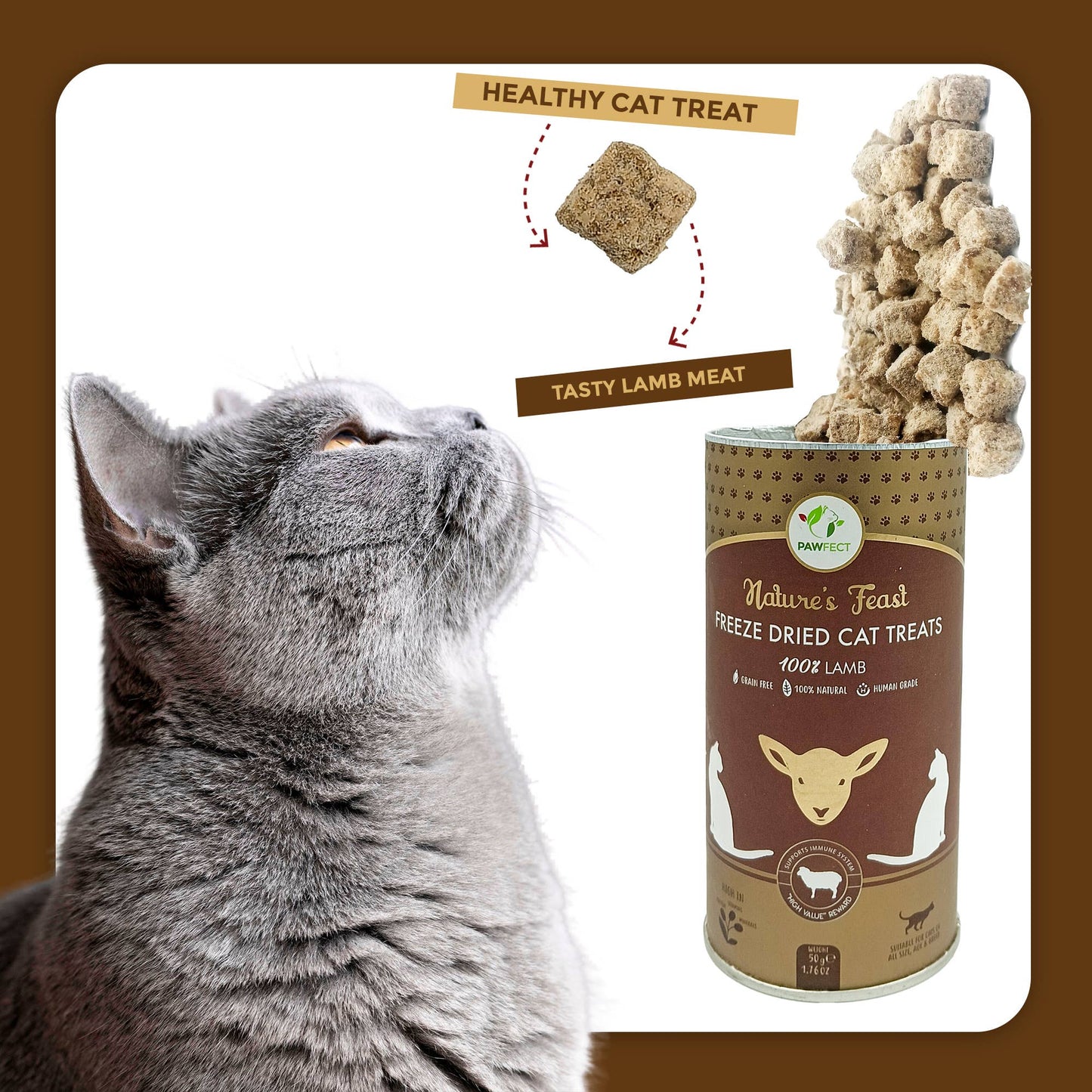 Pawfect Foods - Pawfect Nature's Feast Freeze-Dried Cat Treat- Lamb Meat - 50g